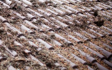 Baconsthorpe roof cleaning companies